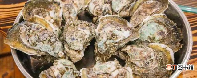 做大生蚝的方法 怎么做生蚝好吃