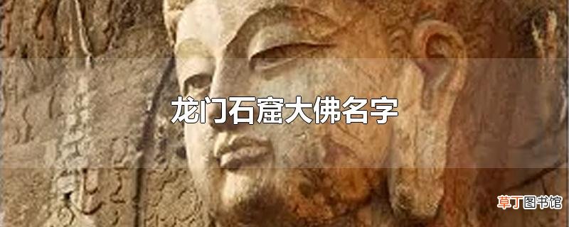 龙门石窟大佛名字