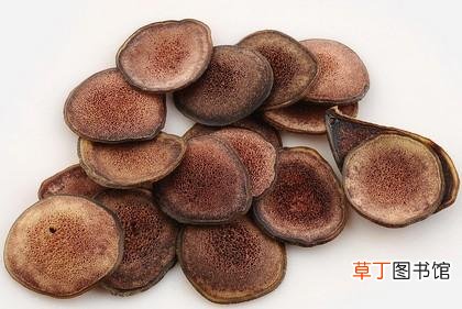 补睾酮最好的中药-中药补睾酮最好的是什么