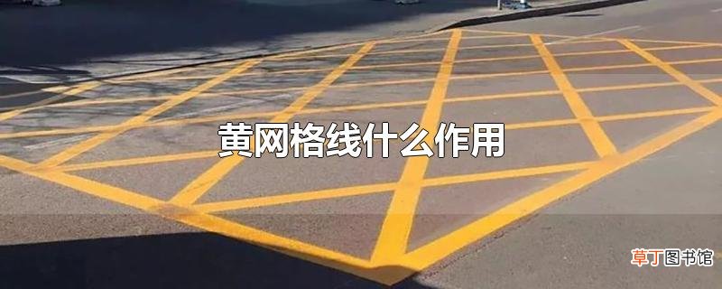 黄网格线什么作用