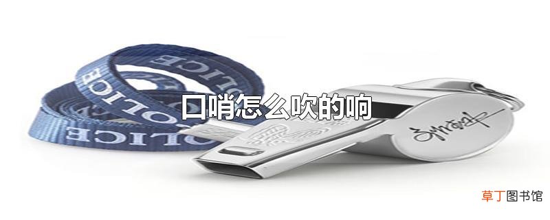 口哨怎么吹的响