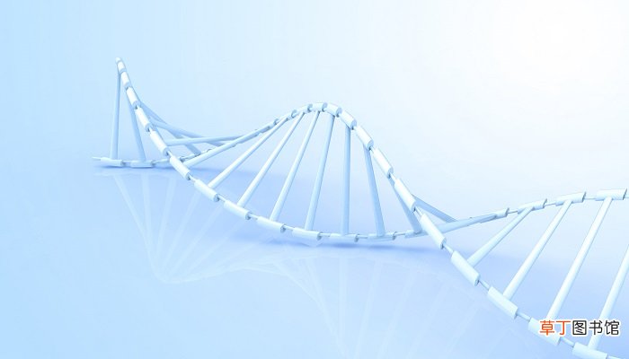 逆转录的原理及主要过程 逆转录的基本过程