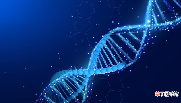 逆转录的原理及主要过程 逆转录的基本过程