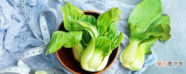 青菜怎么做下酒 青菜做法介绍