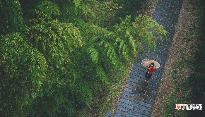 竹里馆运用了什么表现手法 竹里馆的表现手法
