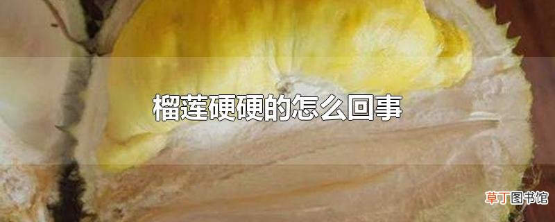 榴莲硬硬的怎么回事