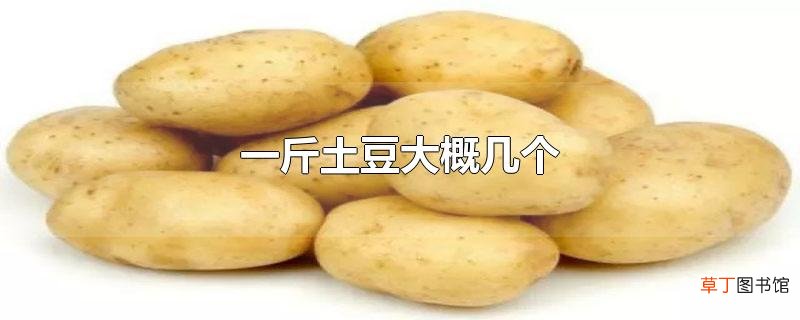 一斤土豆大概几个