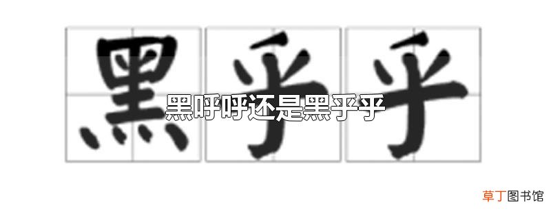 黑呼呼还是黑乎乎