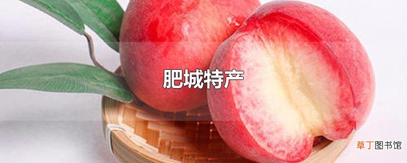 肥城特产