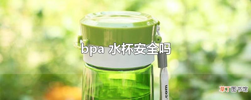 bpa 水杯安全吗