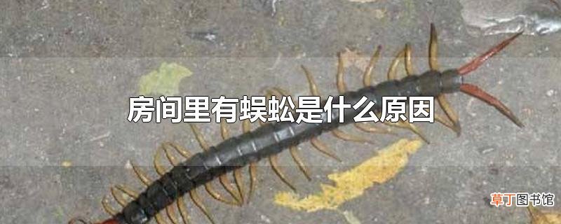 房间里有蜈蚣是什么原因