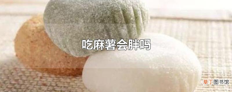 吃麻薯会胖吗