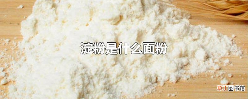 淀粉是什么面粉