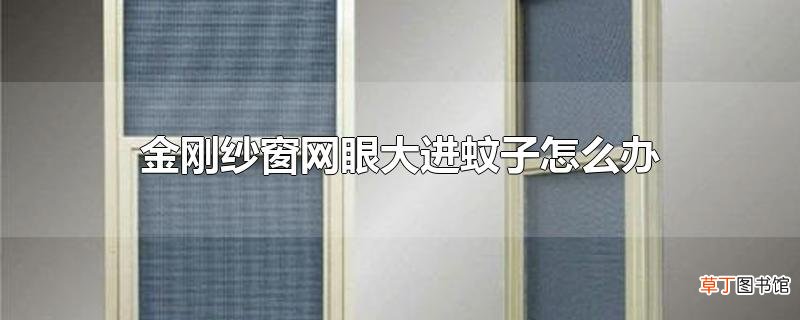 金刚纱窗网眼大进蚊子怎么办