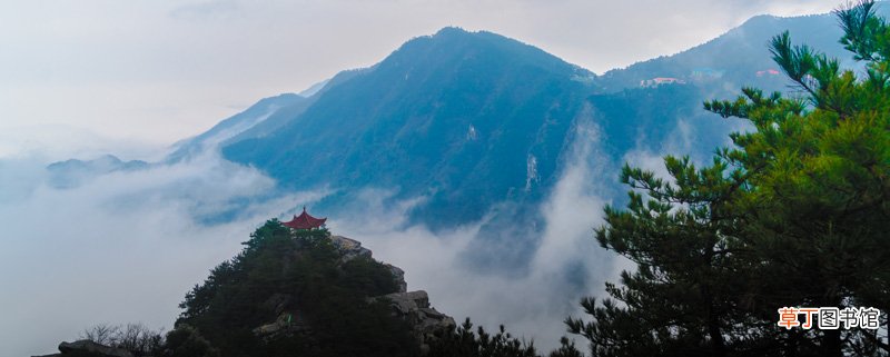 只缘身在此山中是哪首诗 只缘身在此山中的意思