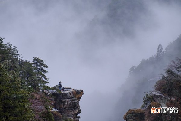 只缘身在此山中是哪首诗 只缘身在此山中的意思