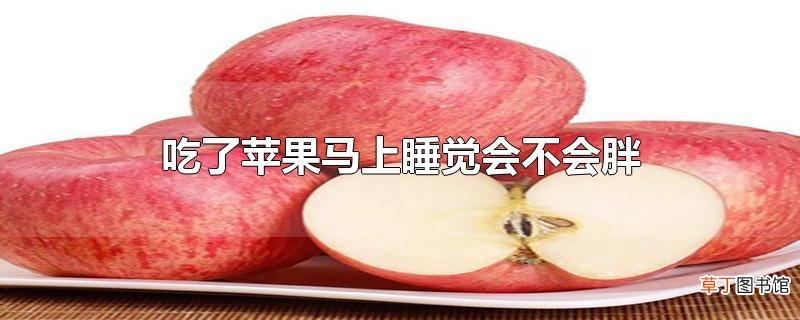 吃了苹果马上睡觉会不会胖
