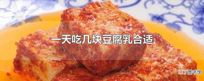 一天吃几块豆腐乳合适