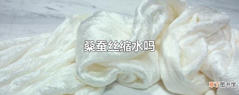 桑蚕丝缩水吗