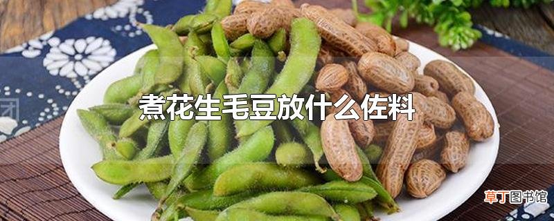 煮花生毛豆放什么佐料