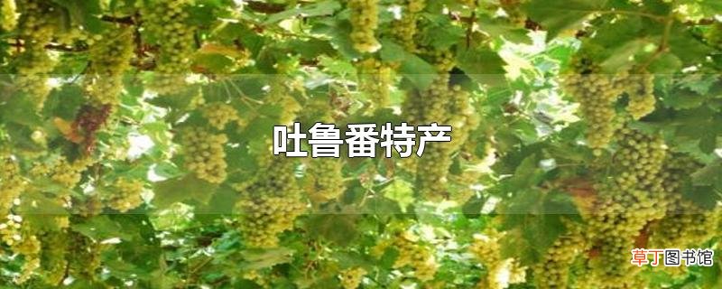 吐鲁番特产