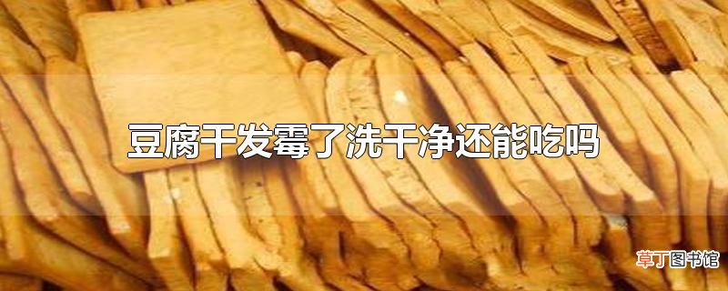 豆腐干发霉了洗干净还能吃吗