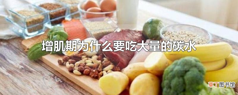 增肌期为什么要吃大量的碳水
