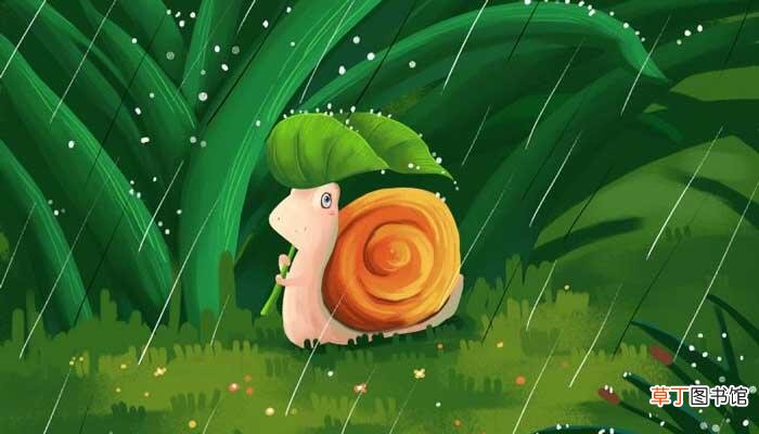 雨水节气的谚语
