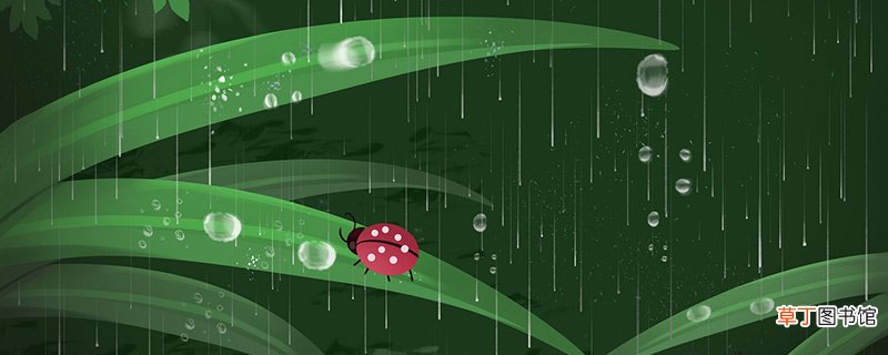 雨水节气的谚语
