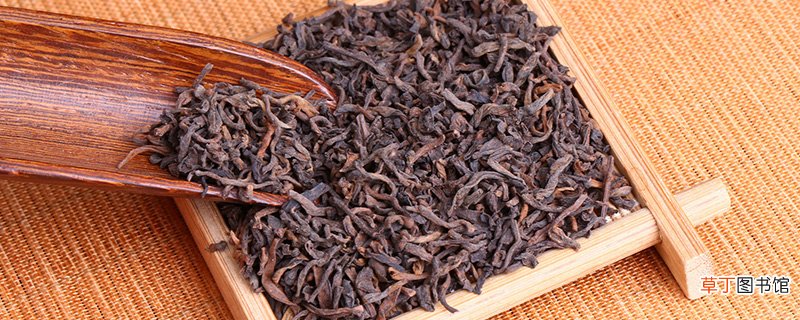 普洱茶是红茶吗