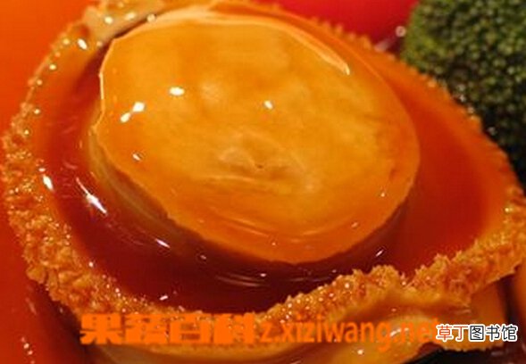 鲍鱼的营养价值