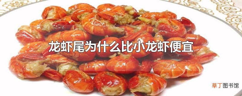 龙虾尾为什么比小龙虾便宜