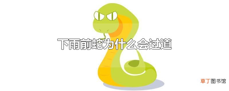 下雨前蛇为什么会过道