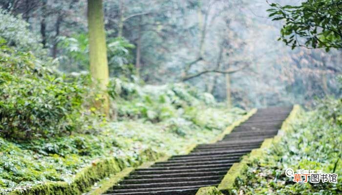 山重水复疑无路柳暗花明又一村赏析 山重水复疑无路柳暗花明又一村赏析句子