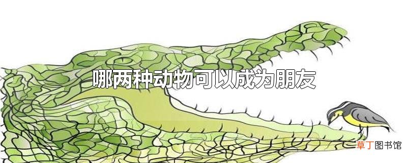 哪两种动物可以成为朋友