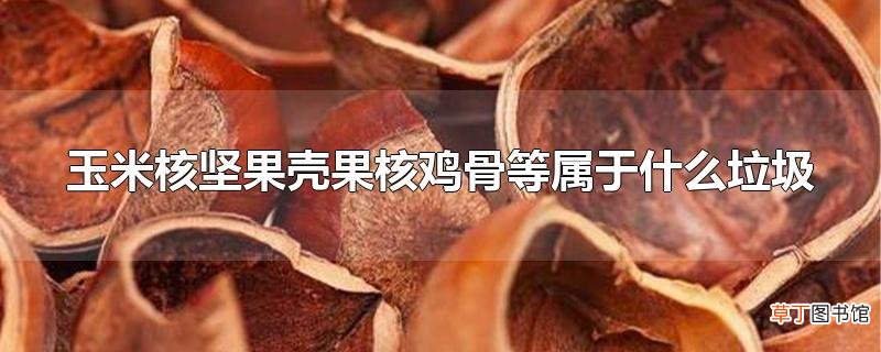 玉米核坚果壳果核鸡骨等属于什么垃圾