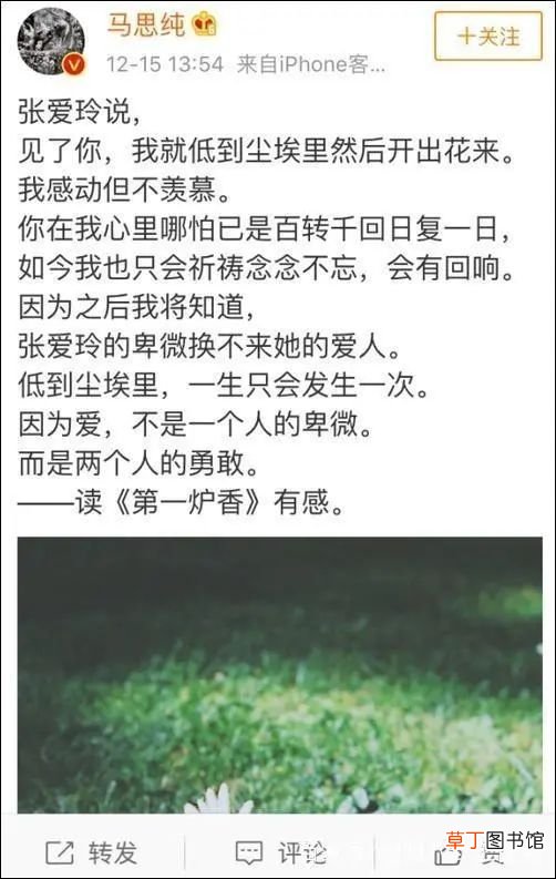 没人懂乃万，除了马思纯