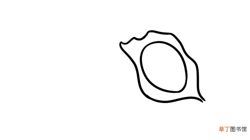 鲍鱼简笔画 鲍鱼怎么画