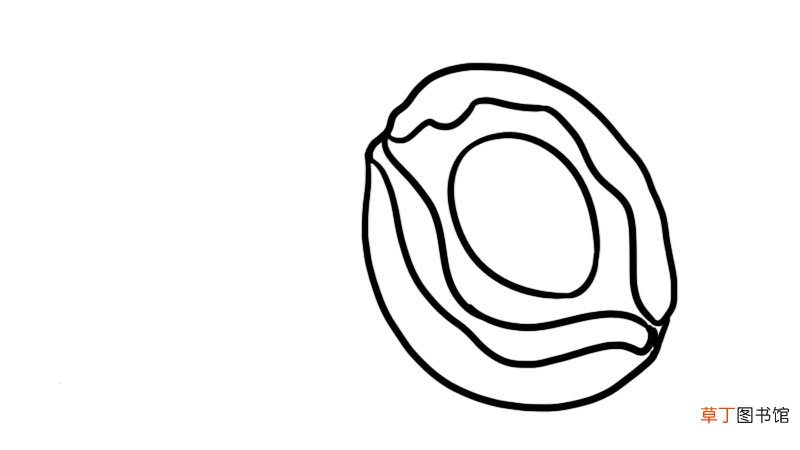 鲍鱼简笔画 鲍鱼怎么画