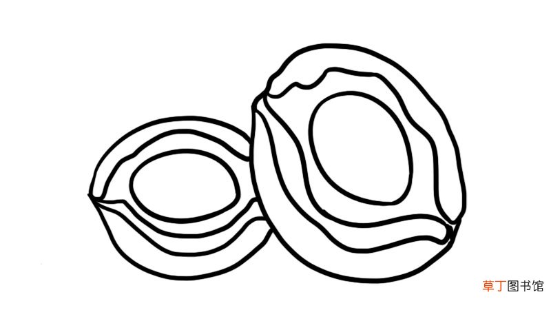 鲍鱼简笔画 鲍鱼怎么画