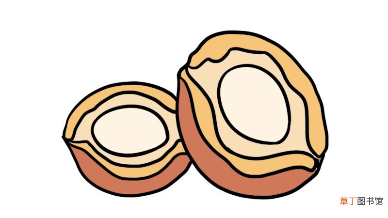 鲍鱼简笔画 鲍鱼怎么画