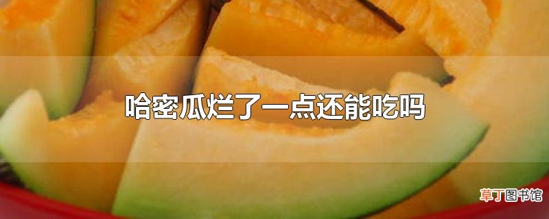 哈密瓜烂了一点还能吃吗