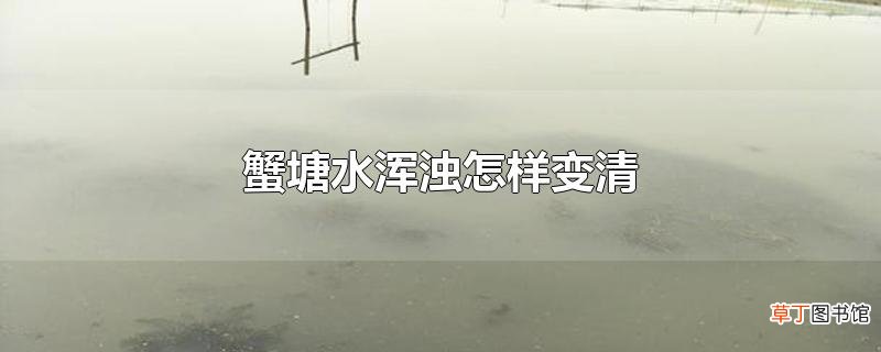 蟹塘水浑浊怎样变清