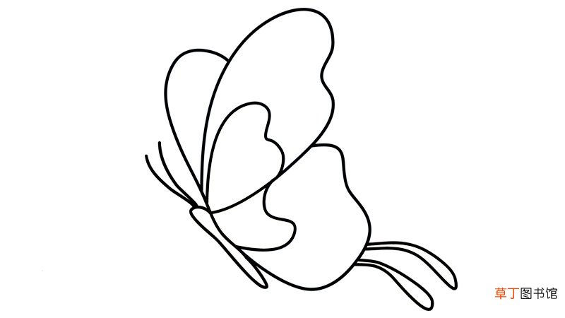 蝴蝶简笔画 蝴蝶简笔画怎么画