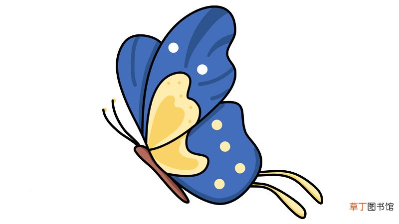 蝴蝶简笔画 蝴蝶简笔画怎么画