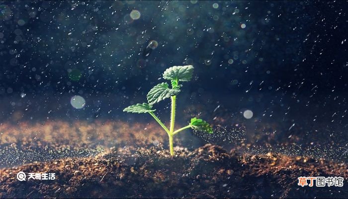 春夜喜雨古诗的解释 春夜喜雨古诗意思解释