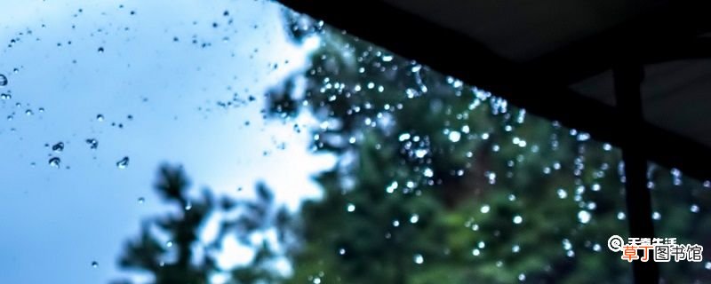 春夜喜雨古诗的解释 春夜喜雨古诗意思解释