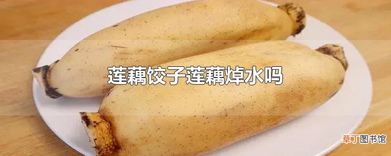 莲藕饺子莲藕焯水吗