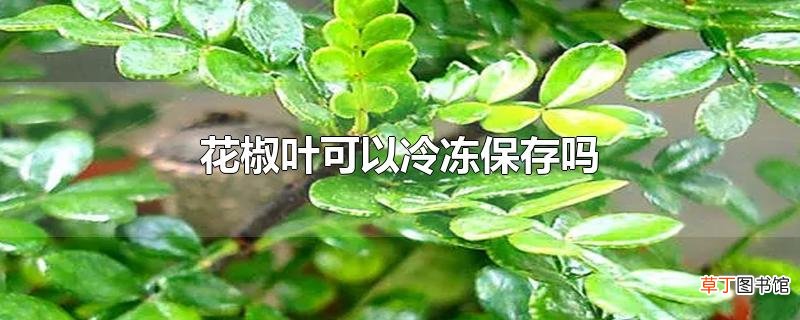 花椒叶可以冷冻保存吗