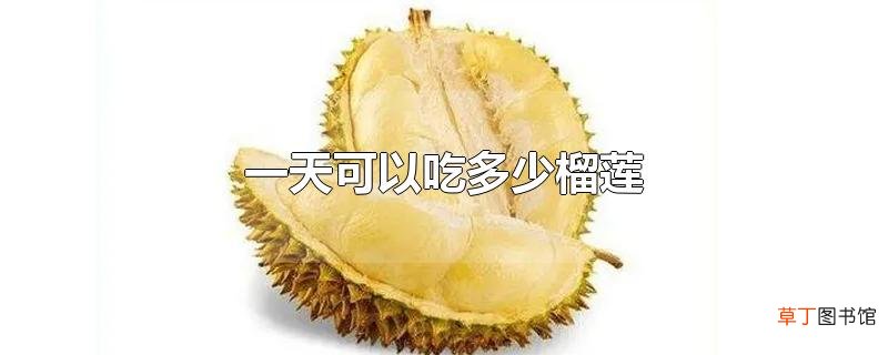 一天可以吃多少榴莲